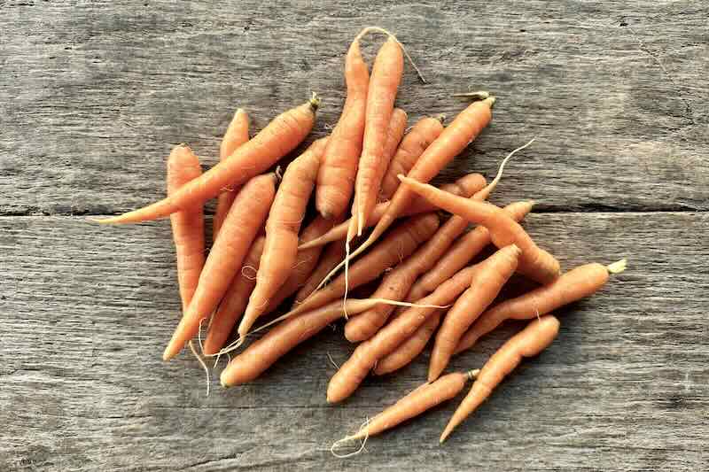 Baby Orange Carrot