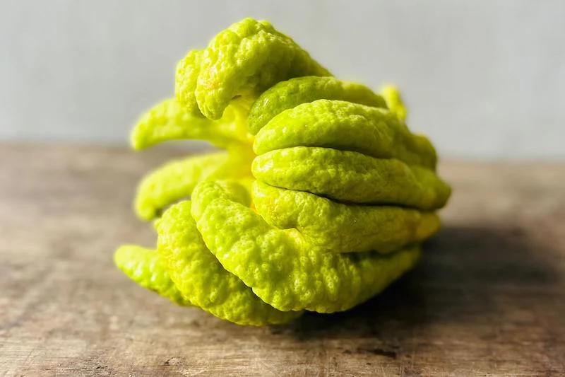 Buddha's Hand