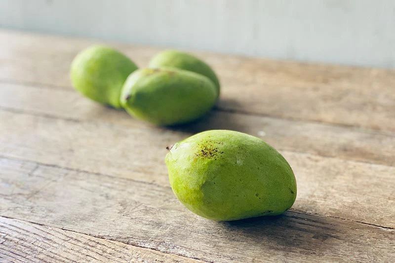 Chinese Mango