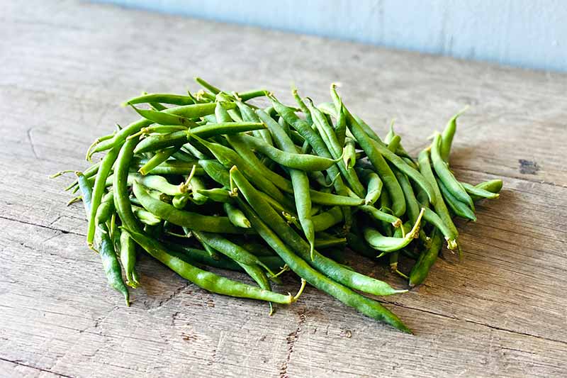 Green Bean (Wholesale)