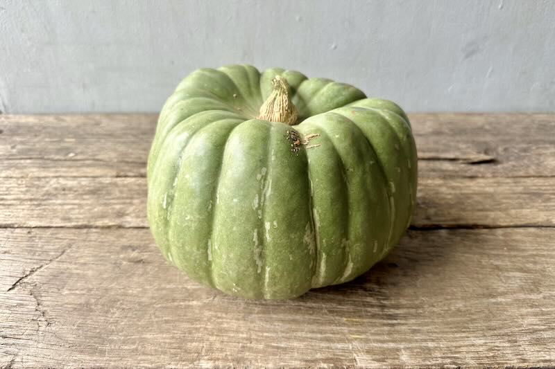 Jade Knight Pumpkin