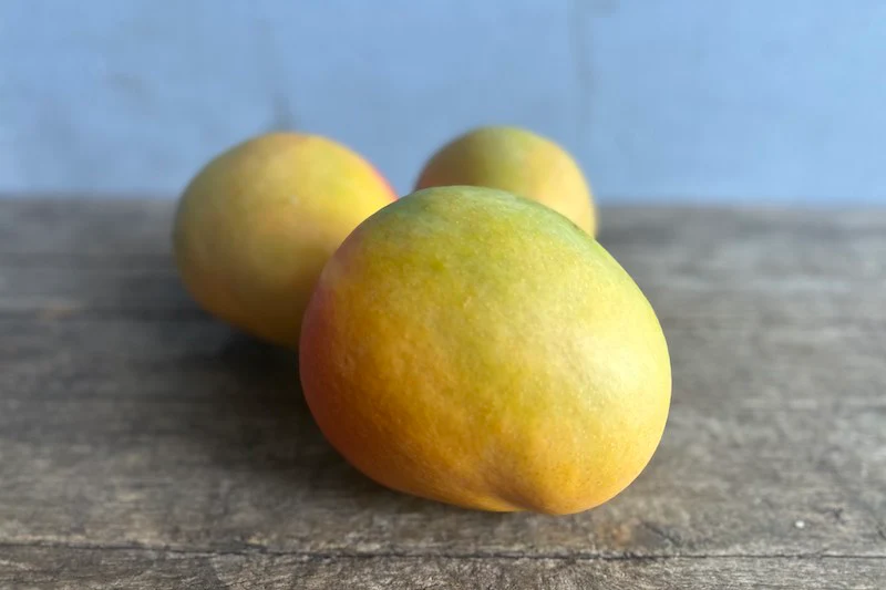 Extra Large Kona King Mango