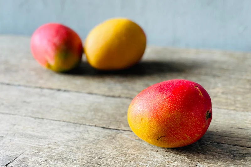 Golden Glow Mango