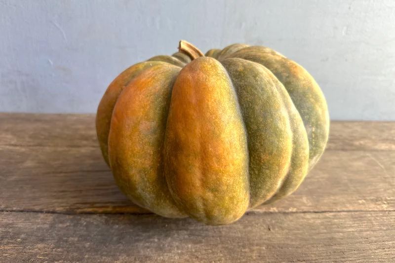 Musquee De Provence Squash