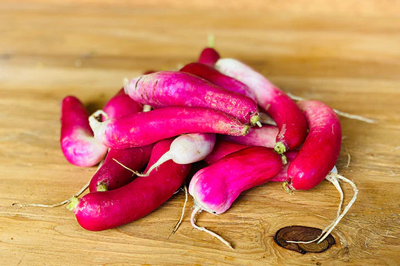 Organic French Breakfast Radish