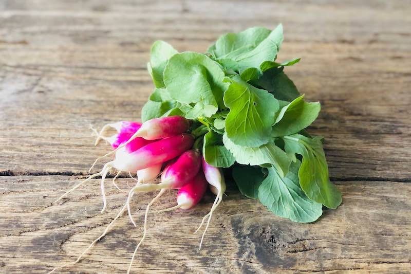 Organic French Breakfast Radish - Image 2