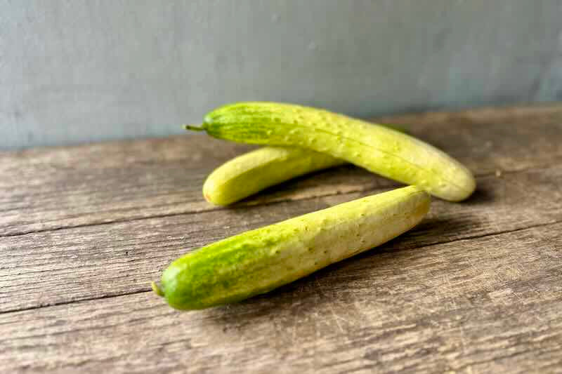 Organic White Japanese Cucumber