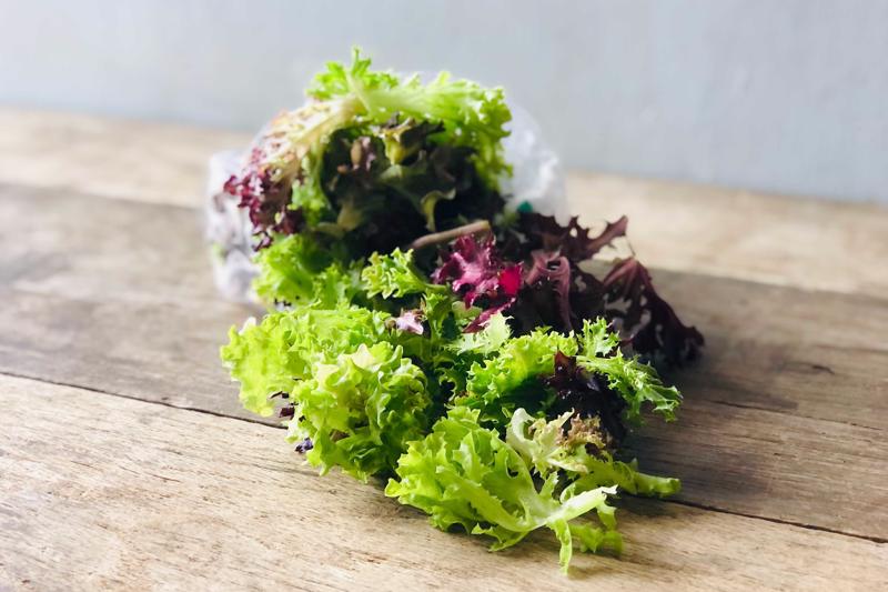 Organic Mixed Salad Lettuce (MAʻO)