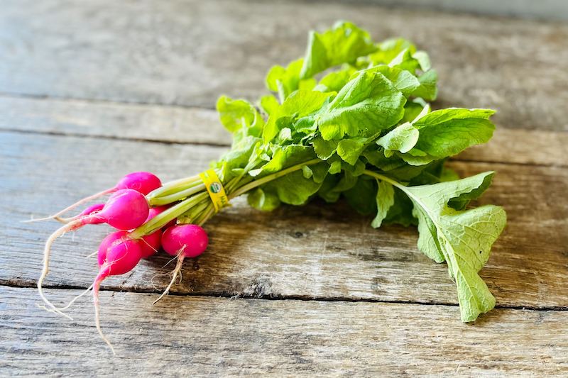 Organic Pink Radish