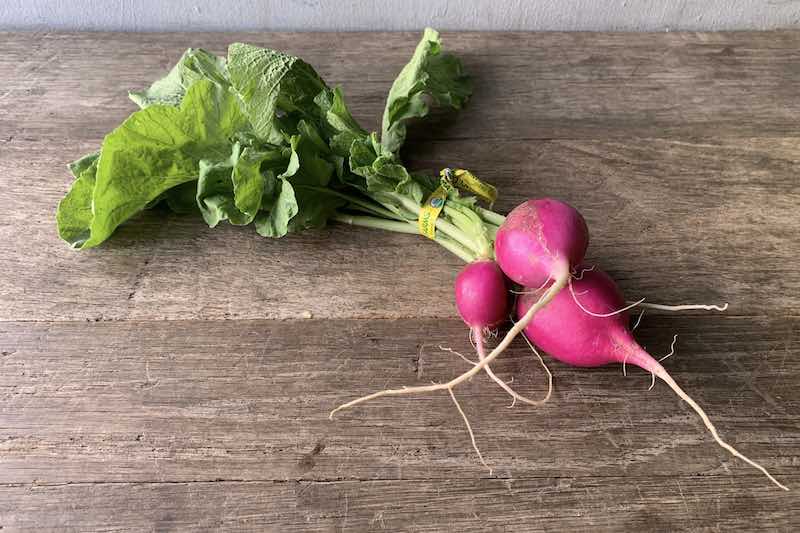 Organic Purple Radish