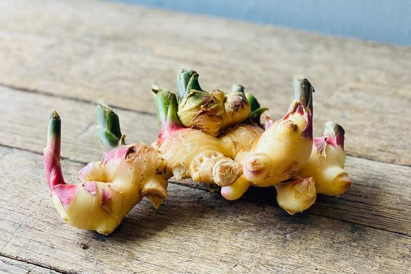 Organic Young Ginger