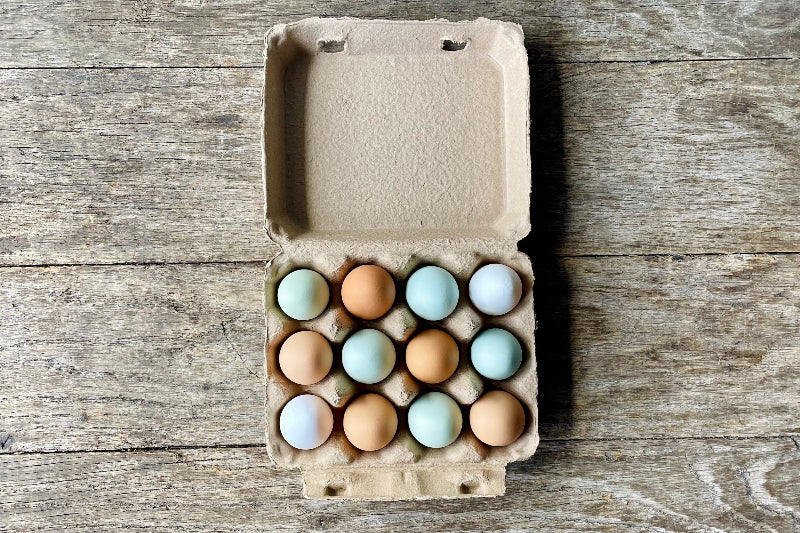 Pasture-Raised Chicken Eggs (Small)