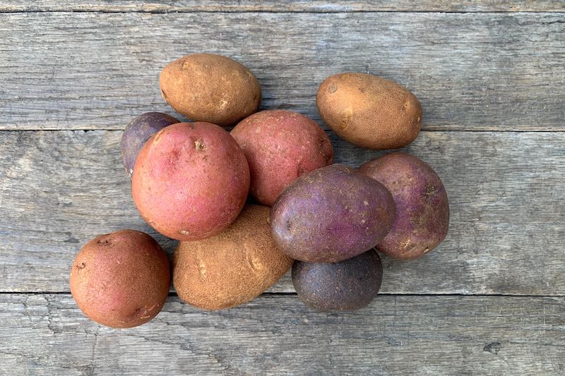 Potato Medley