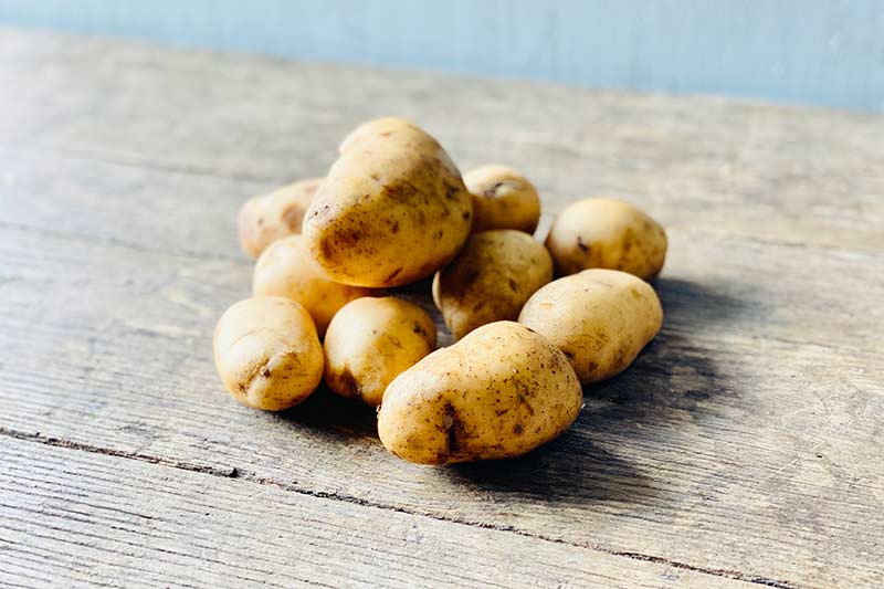White Potato