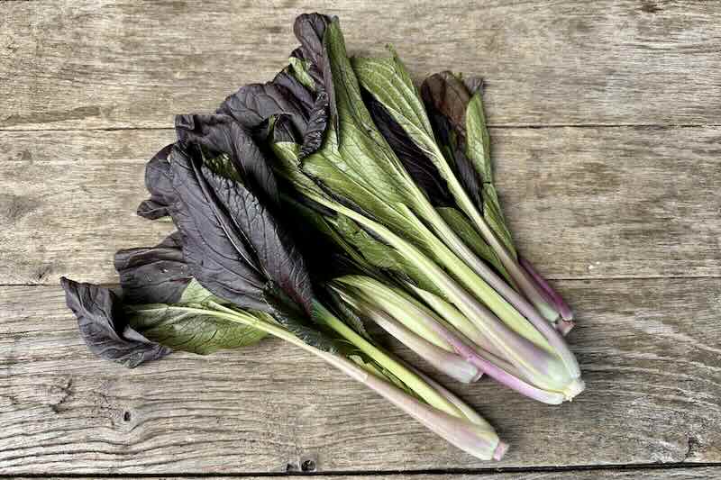 Purple Bok Choy