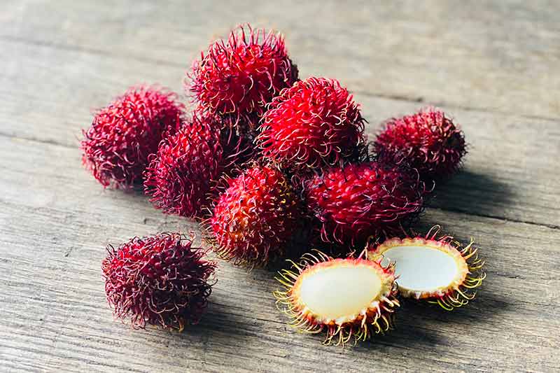 Rambutan