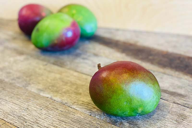 Rapoza Mango