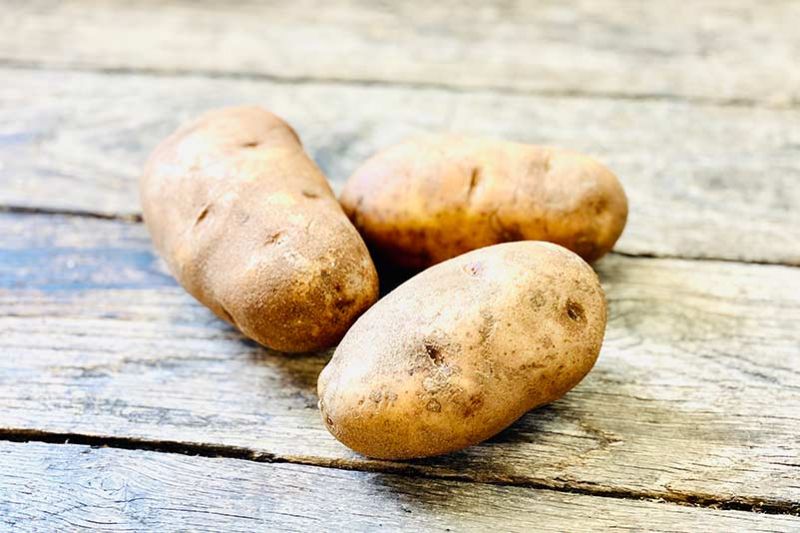 Russet Potato