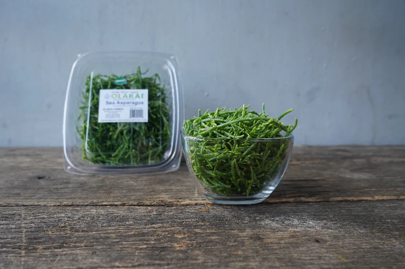 Sea Asparagus