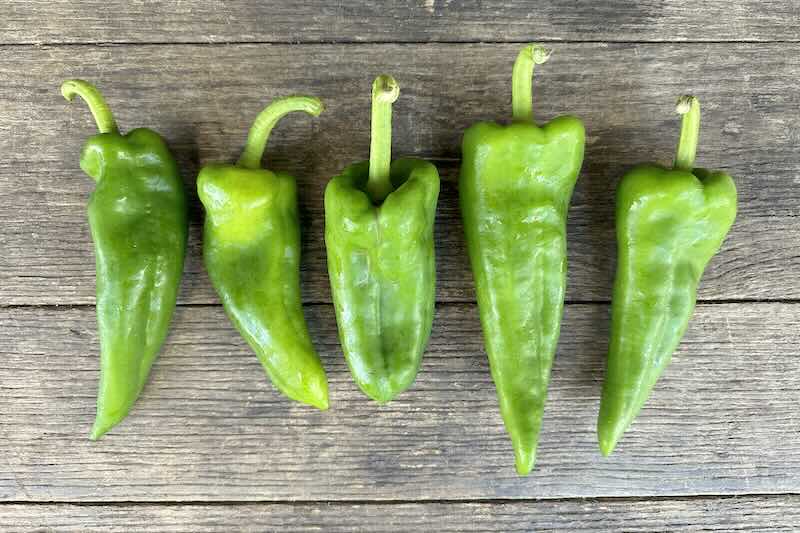 Italian Fryer Pepper