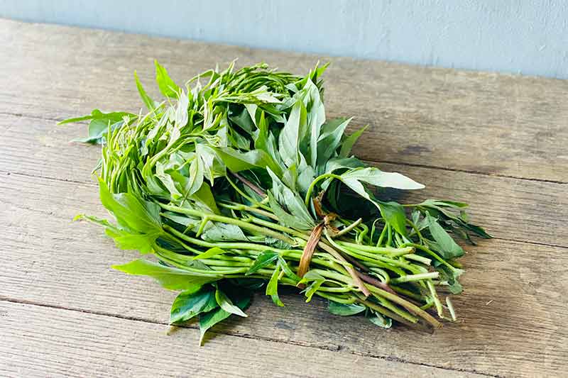 Sweet Potato Greens