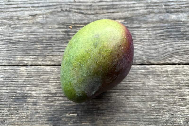 Tommy Atkins Mango