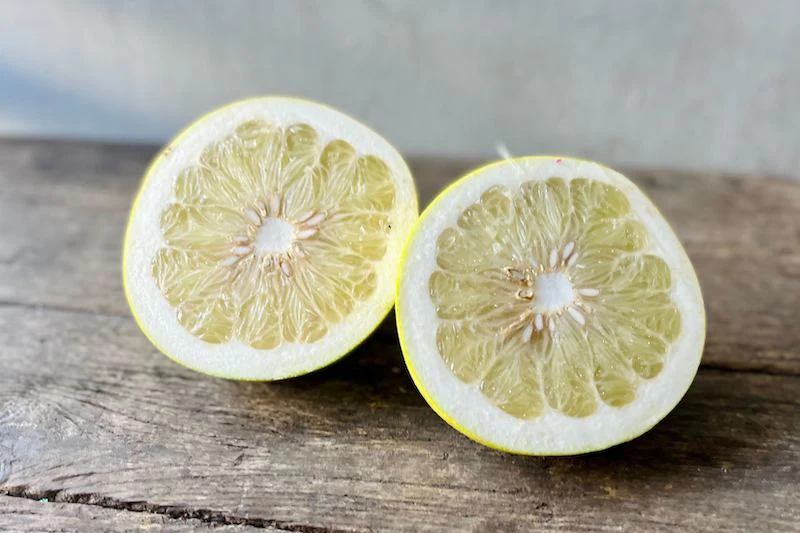 White Pomelo