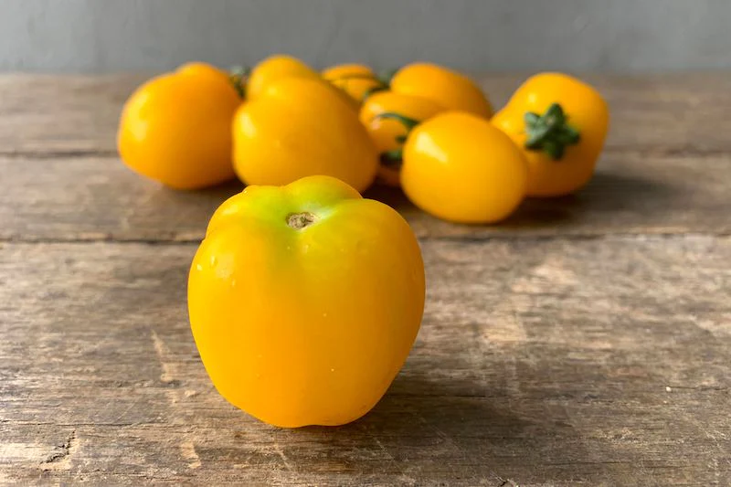 Yellow Apple Tomato