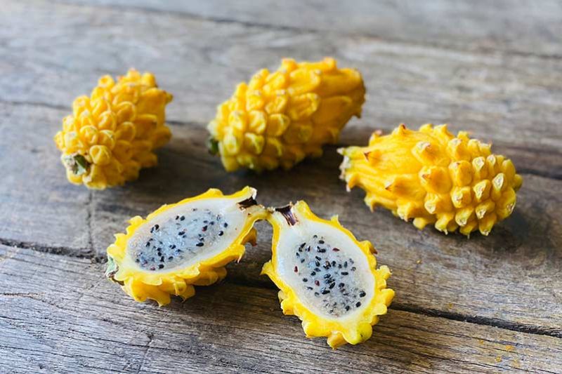 Yellow Dragon Fruit